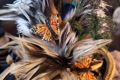 butterflies2