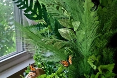 Forestwitcha