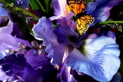 wtichpurple-closeup